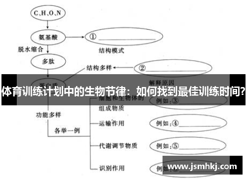体育训练计划中的生物节律：如何找到最佳训练时间？