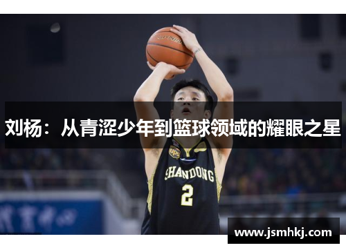 刘杨：从青涩少年到篮球领域的耀眼之星