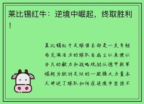 莱比锡红牛：逆境中崛起，终取胜利！